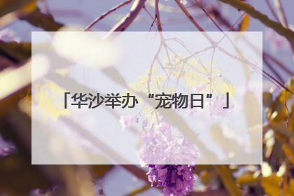 华沙举办“宠物日”